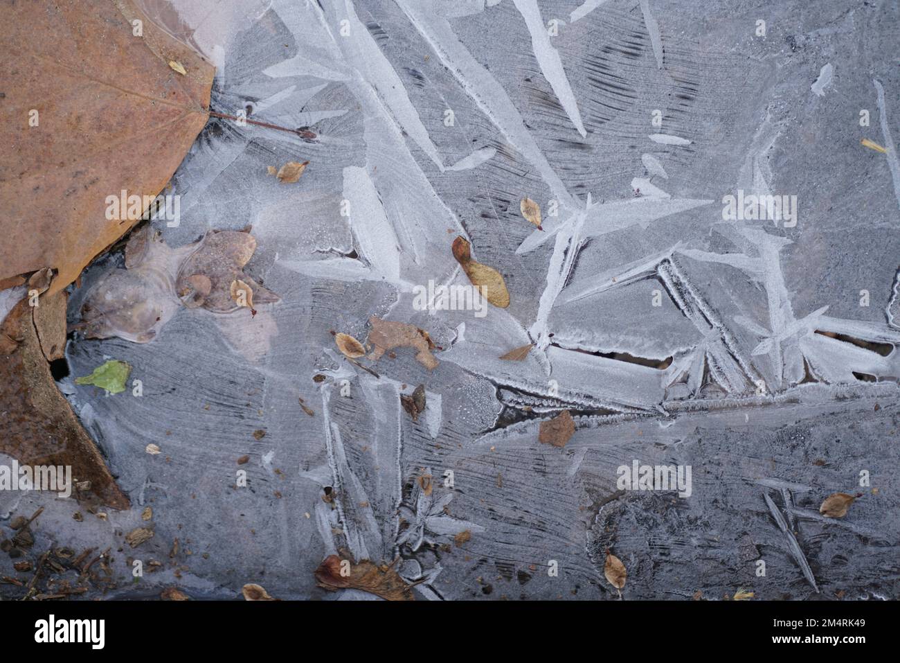 A closeup shot of transparent ice shards Stock Photo
