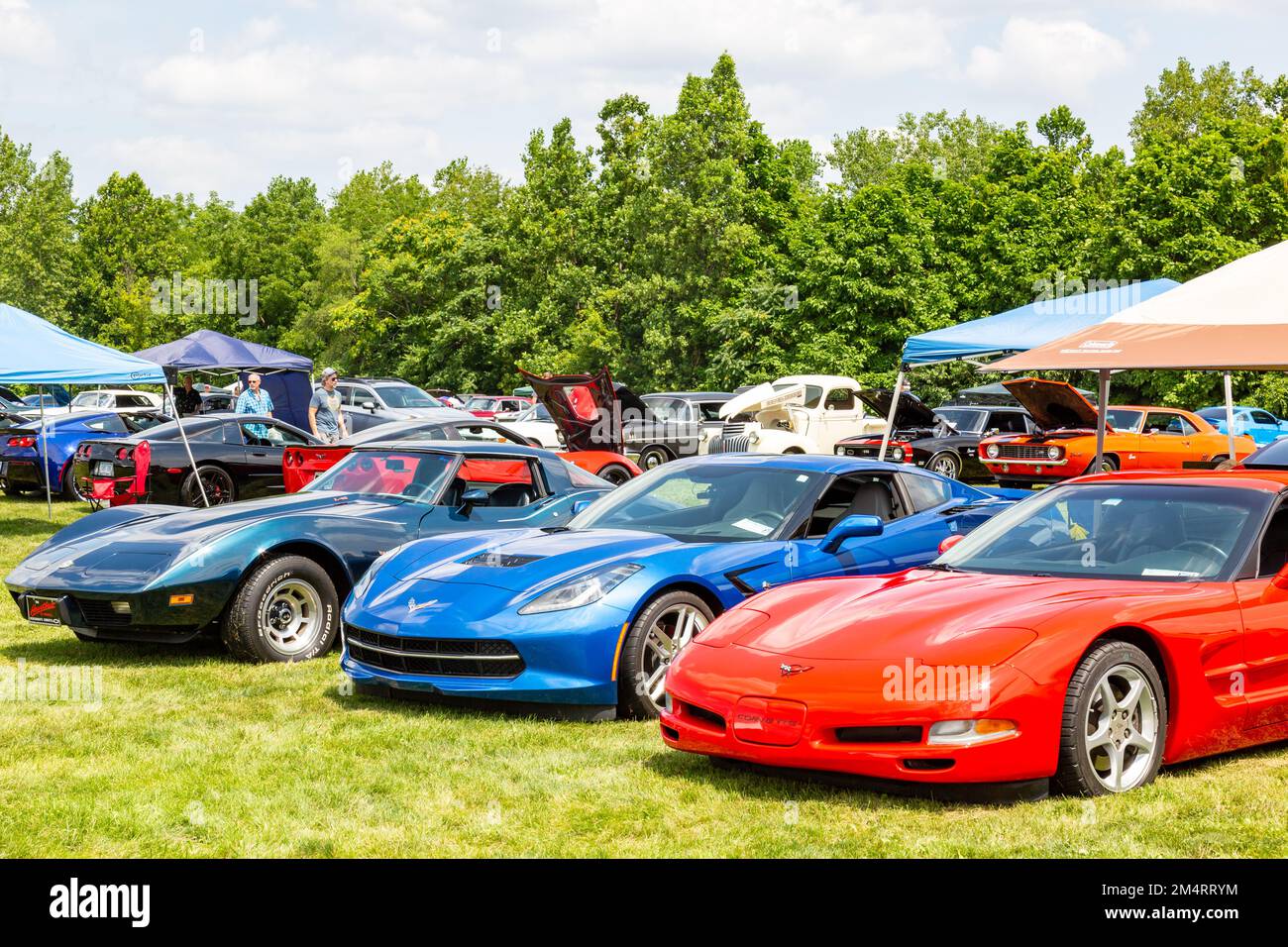 Chevrolet Corvettes on display at a car show in Fort Wayne, Indiana, USA. Stock Photo