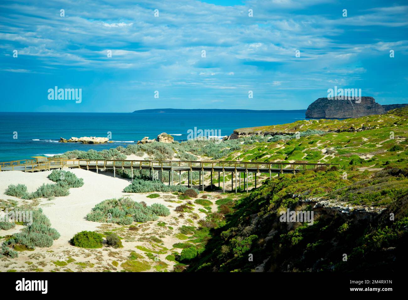 Seal Bay Conservation Park Kangaroo Island Stock Photo Alamy