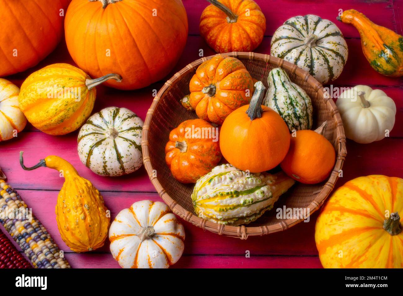 Autumn Pumpkins In Basket With Gourds On Red Boards Still life Stock Photo