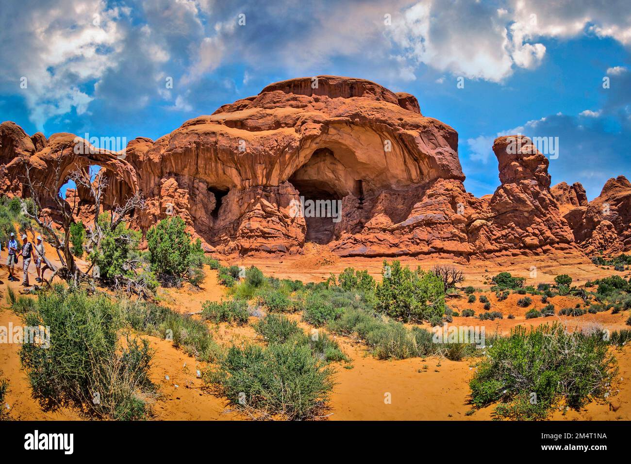 Arches National Park, Utah, USA, North America, United States Stock Photo