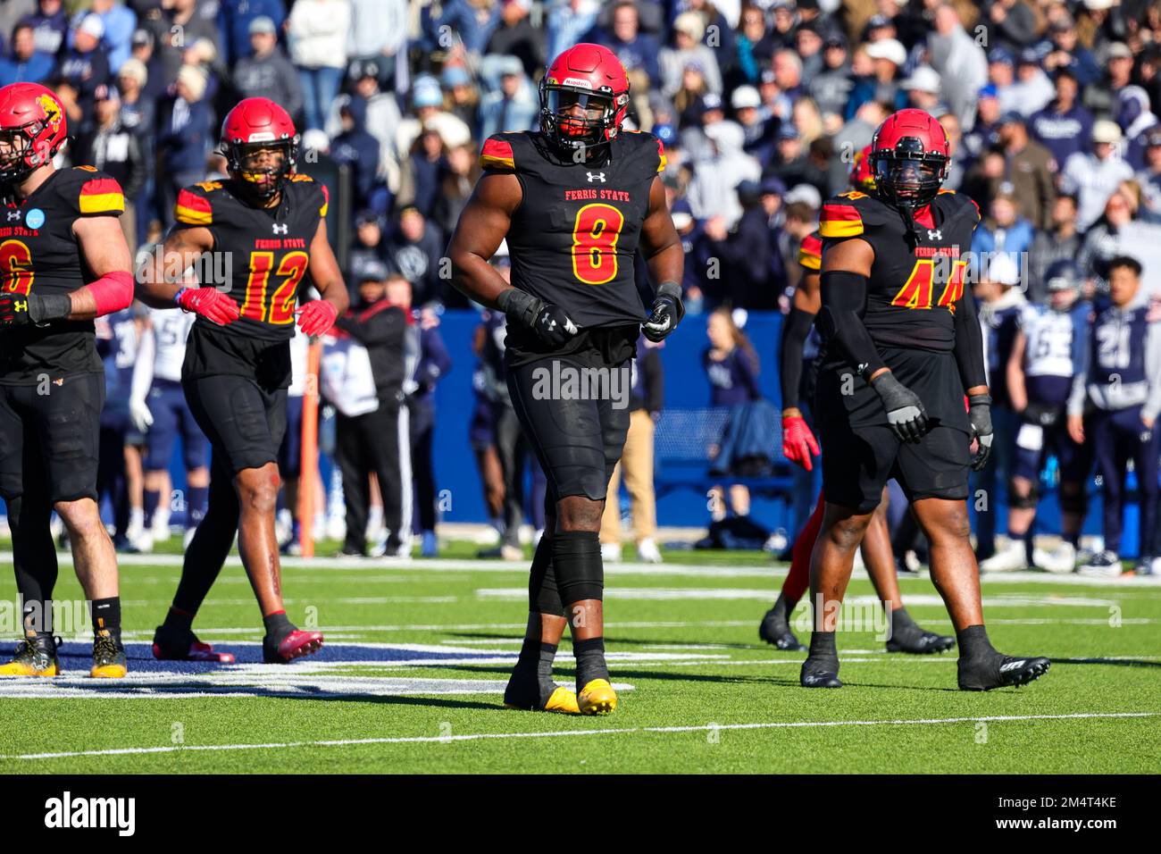 Ferris State Bulldogs defensive tackle Olalere Oladipo (8) during the second quarter NCAA Division II national championship college football game, at Stock Photo