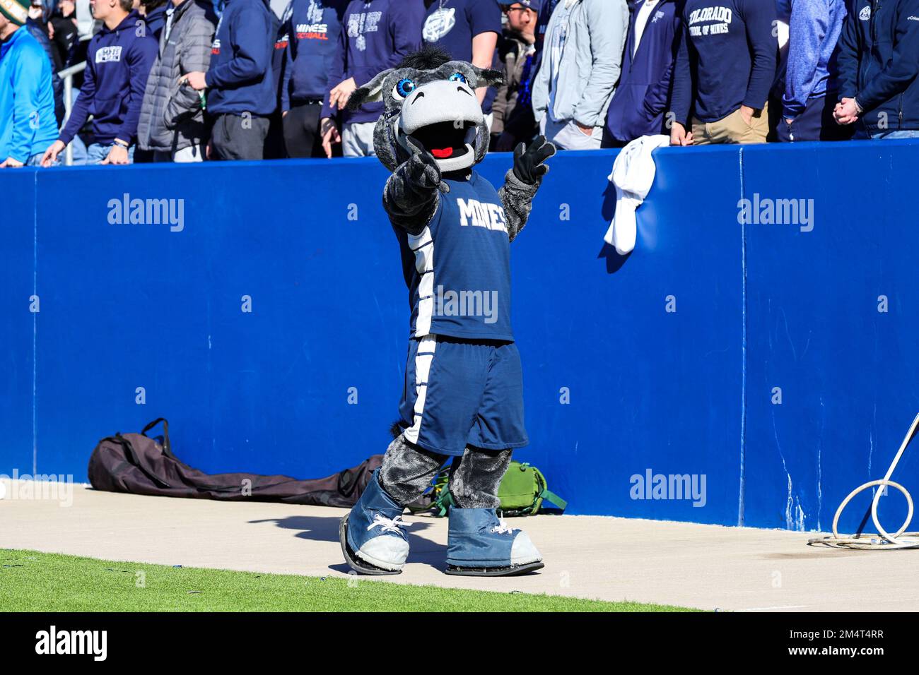 Colorado School of Mines Orediggers mascot Blaster the Burro during the