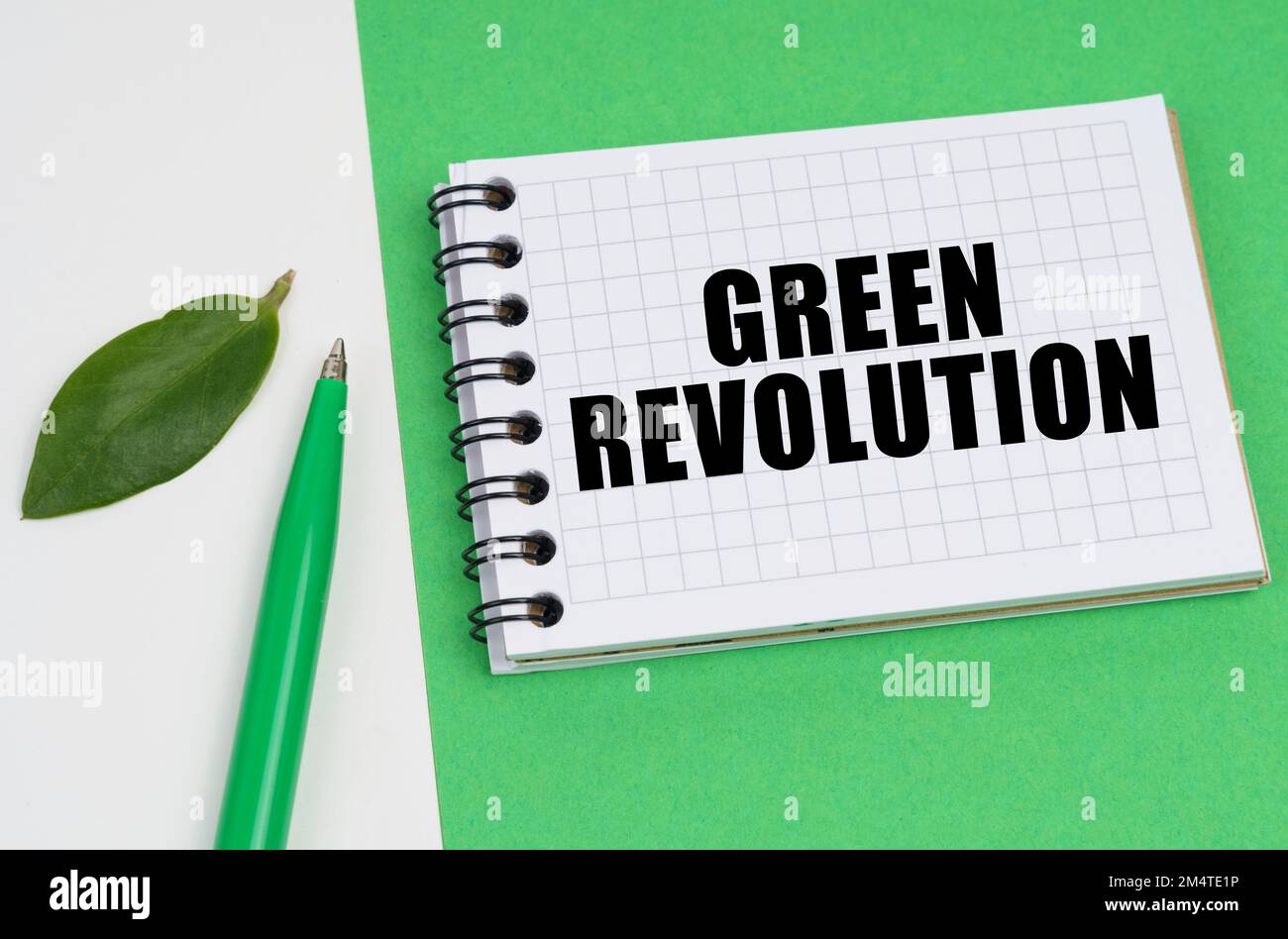 Ecological concept. On a white-green background lies a pen, a leaf of a ...