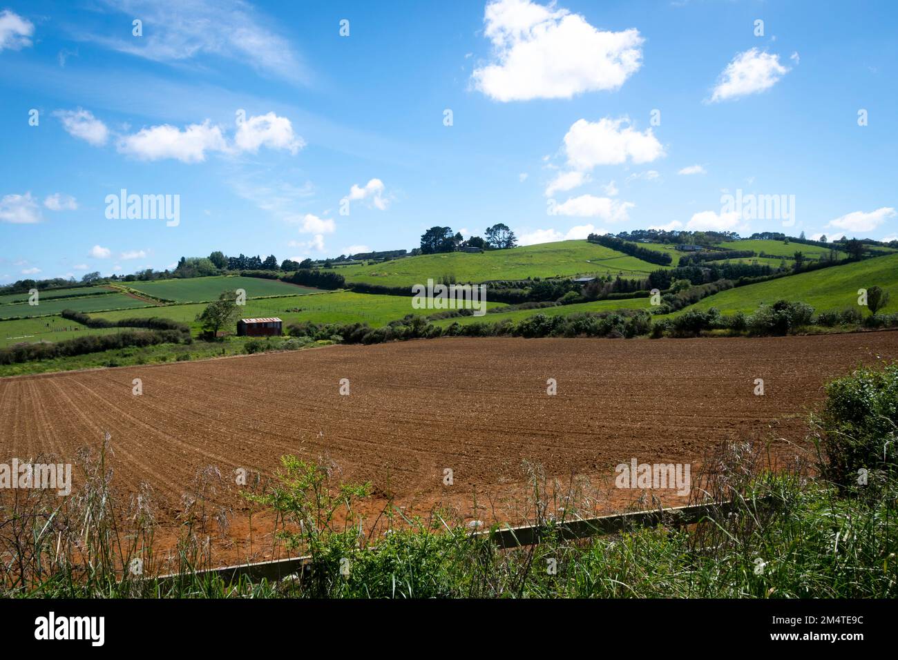 Fertile soil in field at Pukekohe,a market gardening area south of