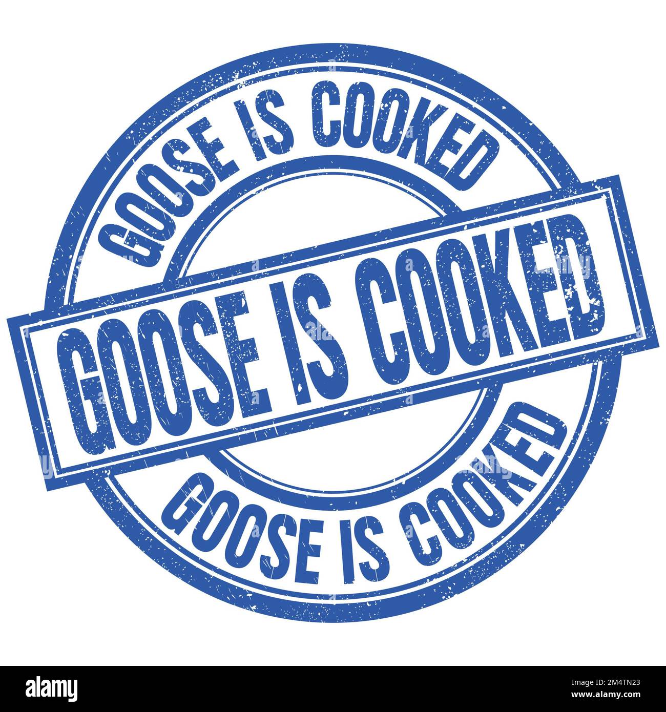 GOOSE IS COOKED text written word on blue round stamp sign Stock Photo