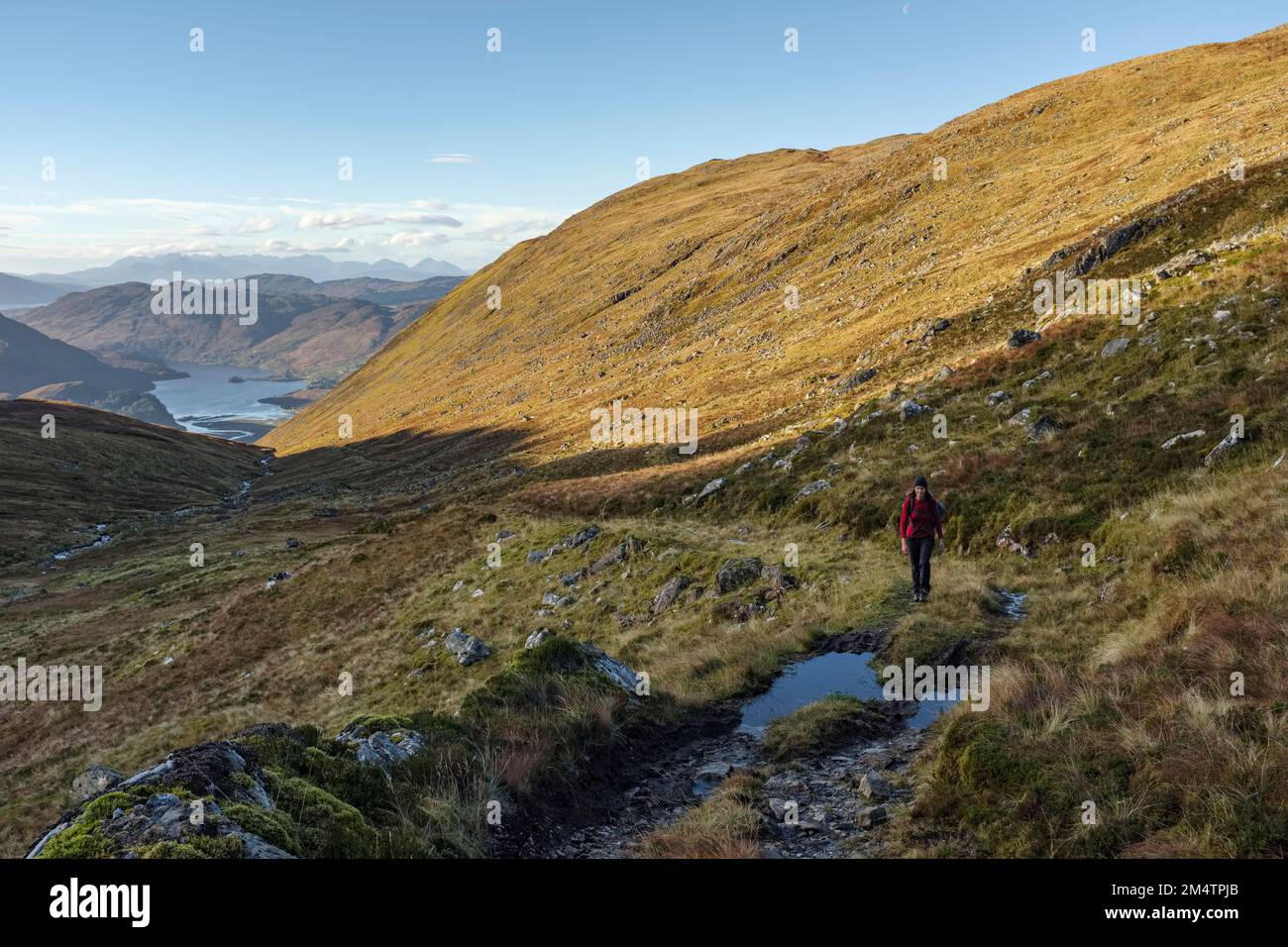 Woman hiking in the Highlands near to Loch Long. Stock Photo