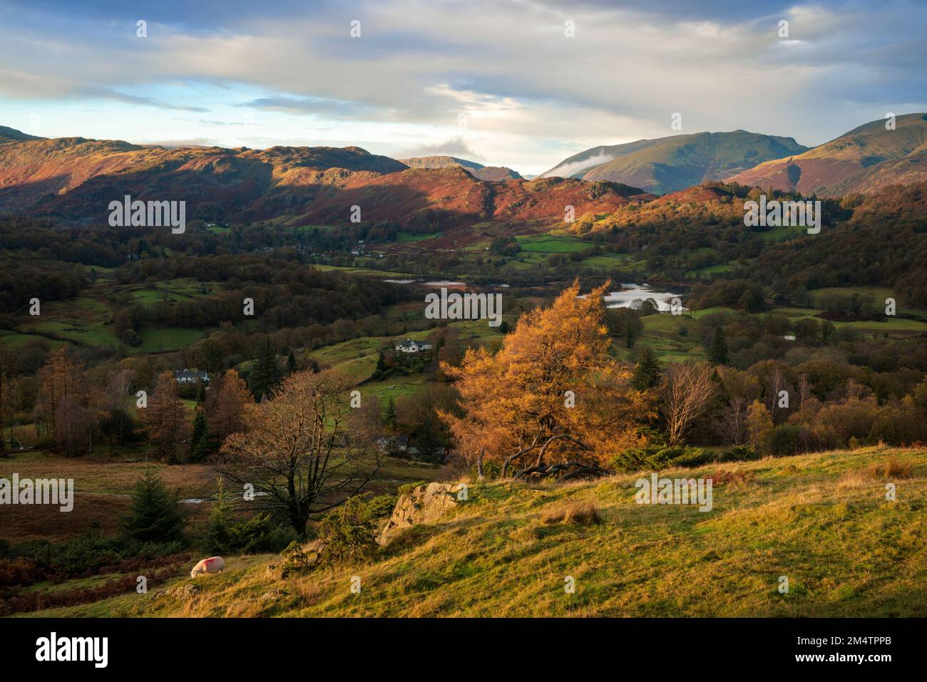 A view over Elterwater from Black Fell near Ambleside. Stock Photo