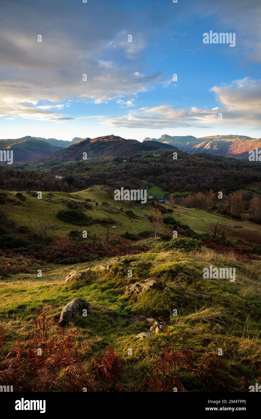 Lingmoor Fell and the Langdale Pikes from Black Fell. Stock Photo
