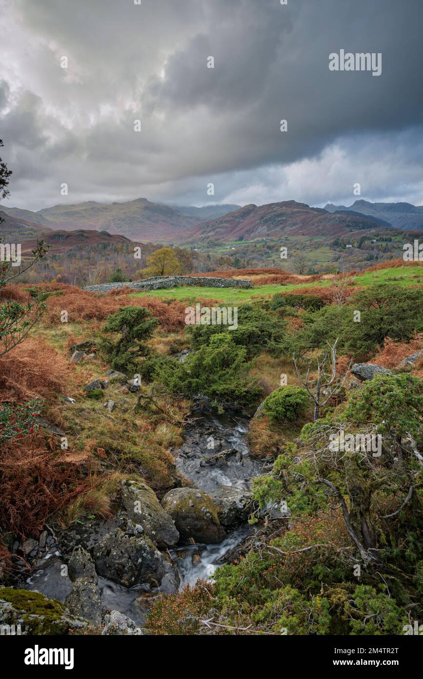 Narrow stream on Black Fell near Ambleside. Stock Photo