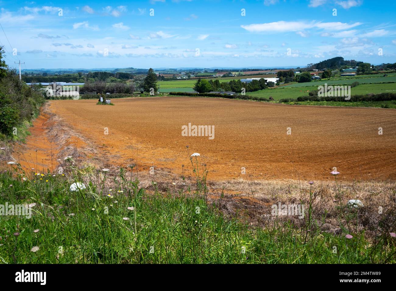 Fertile soil in field at Pukekohe,a market gardening area south of  Auckland, North Island, New Zealand Stock Photo
