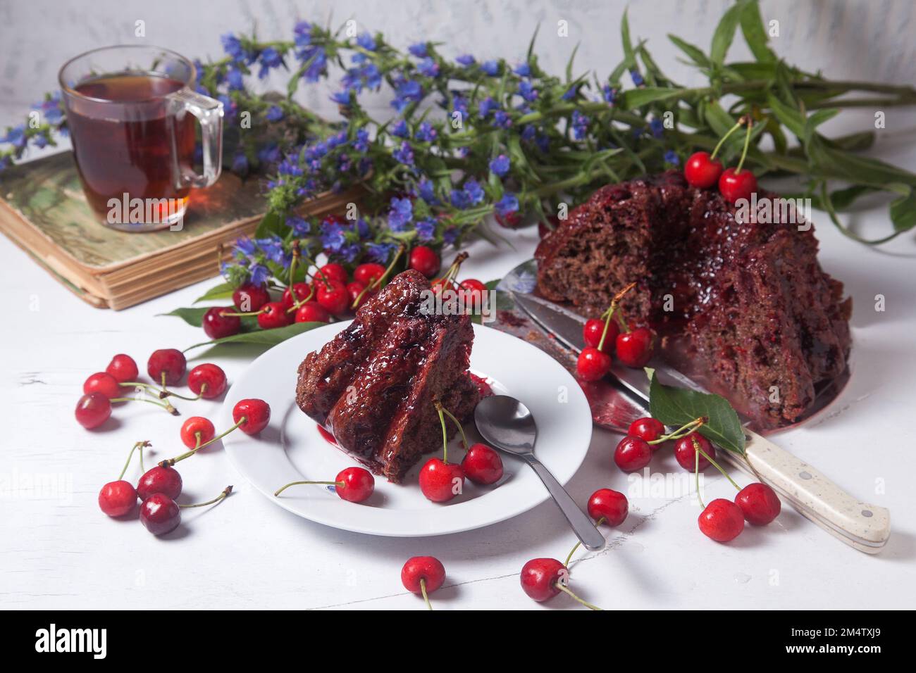 Composition on white background - delicious chocolate cake with sweet cherry, white plate with part of tart, cup of tea on vintage book  and branch of Stock Photo