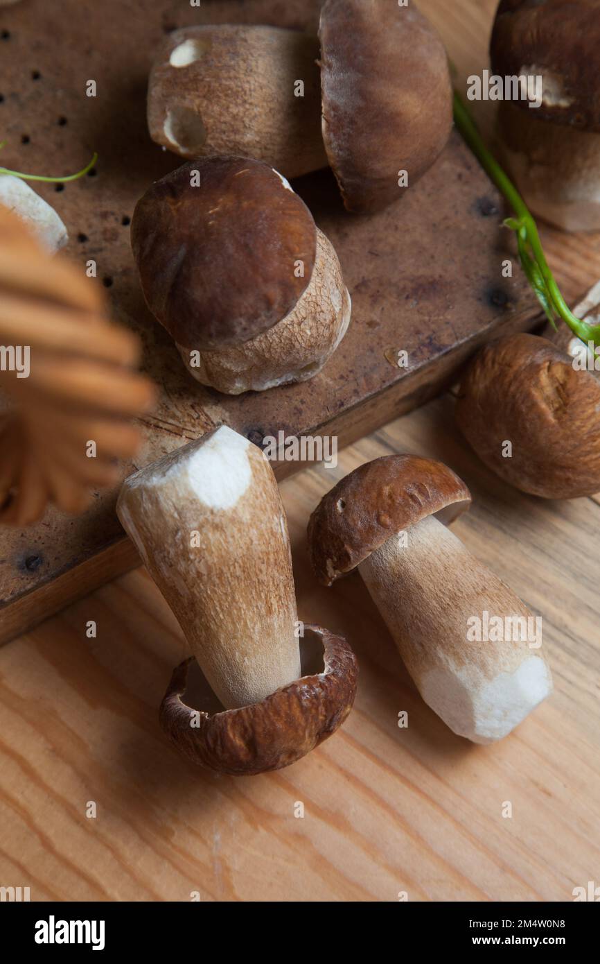 Crop of forest edible mushrooms. Selective focus on beautyfull porcini mushroom among the pile of picked wild porcini mushrooms (cep, porcino or king Stock Photo