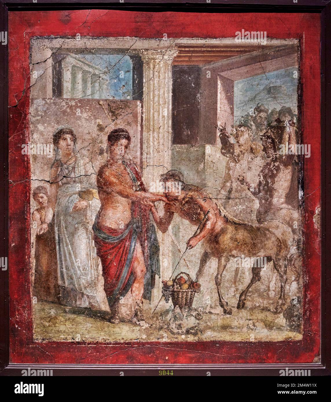 Ippodamia hires stock photography and images Alamy