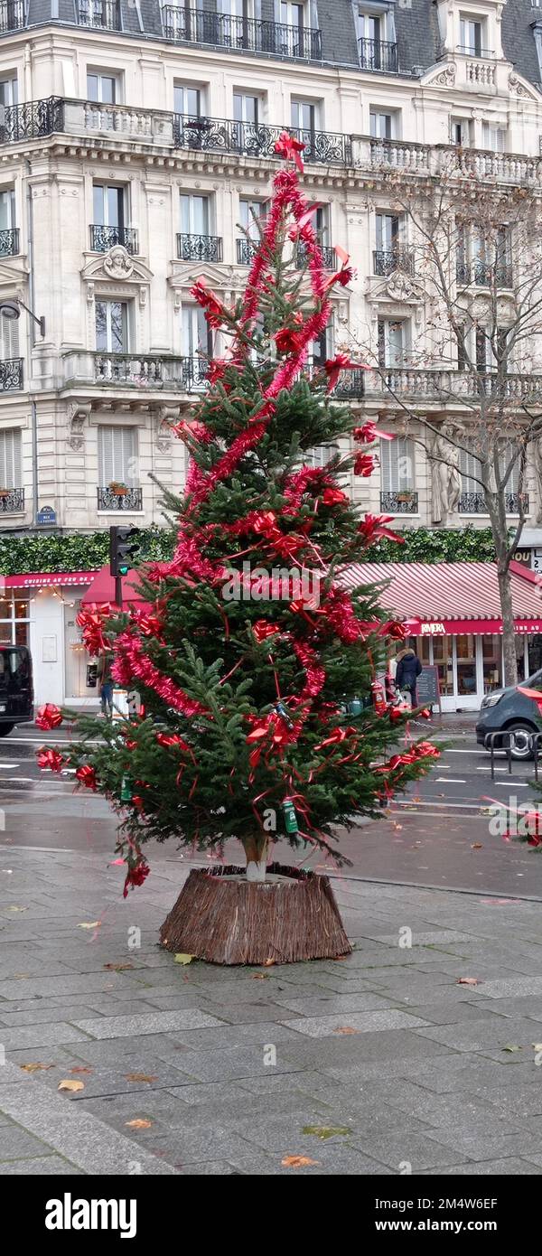 Sapin hi-res stock photography and images - Alamy