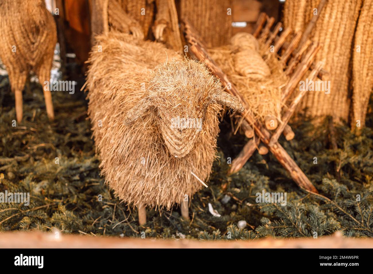 Christmas nativity scene with hay sheep lying on the hay. Farming