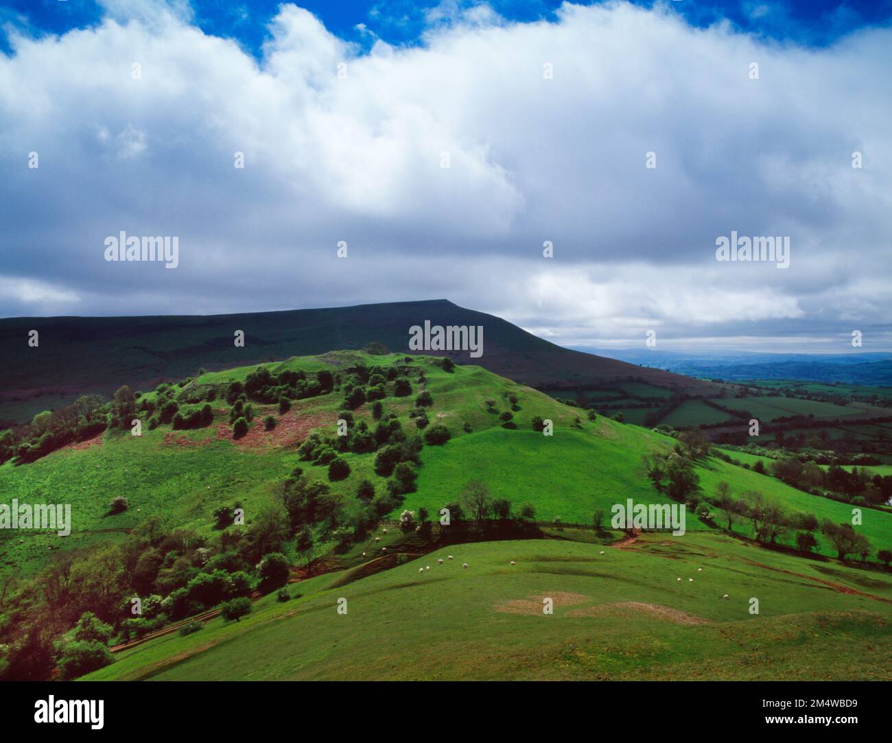 Castell Dinas Iron Age hillfort, Dark Age stronghold & Norman castle site, Talgarth, Powys, Wales, UK, looking SW to Mynydd Troed. Stock Photo