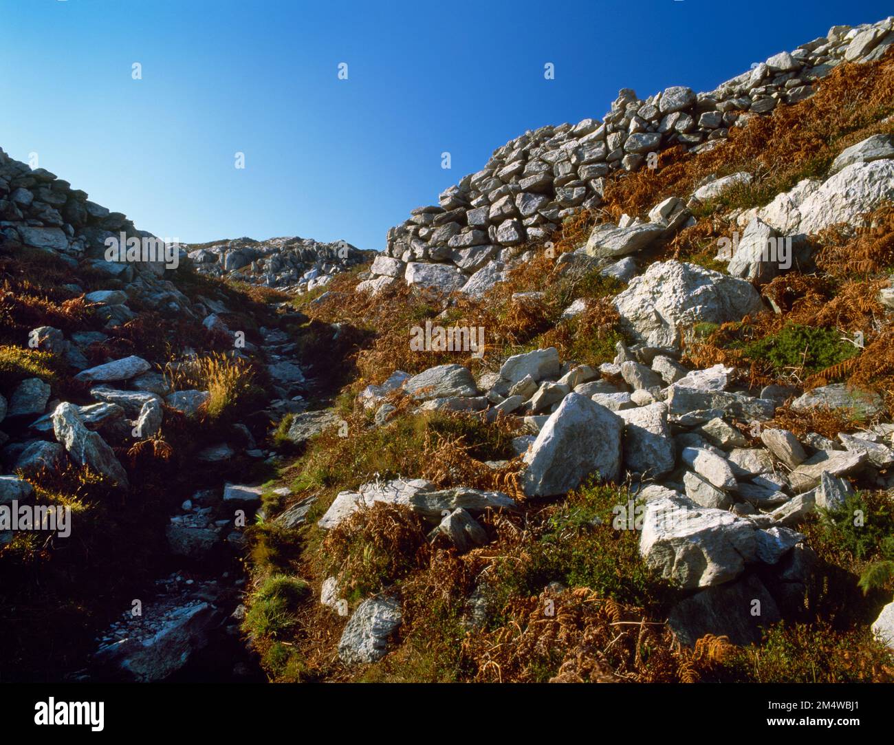 View WSW up through the NE entrance into Caer y Twr Iron Age hillfort, Holyhead Mountain, Isle of Anglesey, Wales, UK, flanked by drystone ramparts. Stock Photo