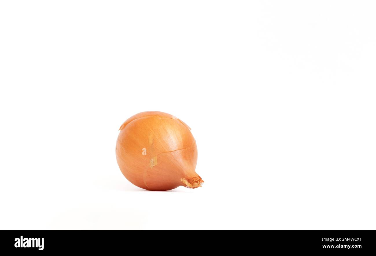 Shallot onion, single shallot isolated on a white background. Front view. Copy space, space for text. No people, nobody. Close-up. Aromatic. Stock Photo
