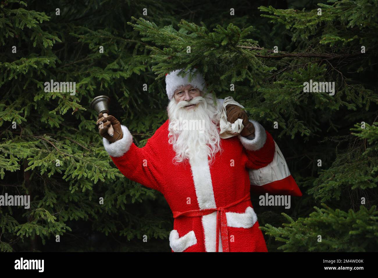 Schierke, Germany. 23rd Dec, 2022. According to Manfred Schulz, he is one of the longest-serving Santa Clauses in Saxony-Anhalt. Since 1968 he is on the way in the pre-Christmas period and also Christmas Eve to the Bescherung. With its 78 years a bone job like it says. Today he surprised the hikers on the Brocken where also the annual Brockenstammtisch of the Brockenwirt was organized. Credit: Matthias Bein/dpa/Alamy Live News Stock Photo