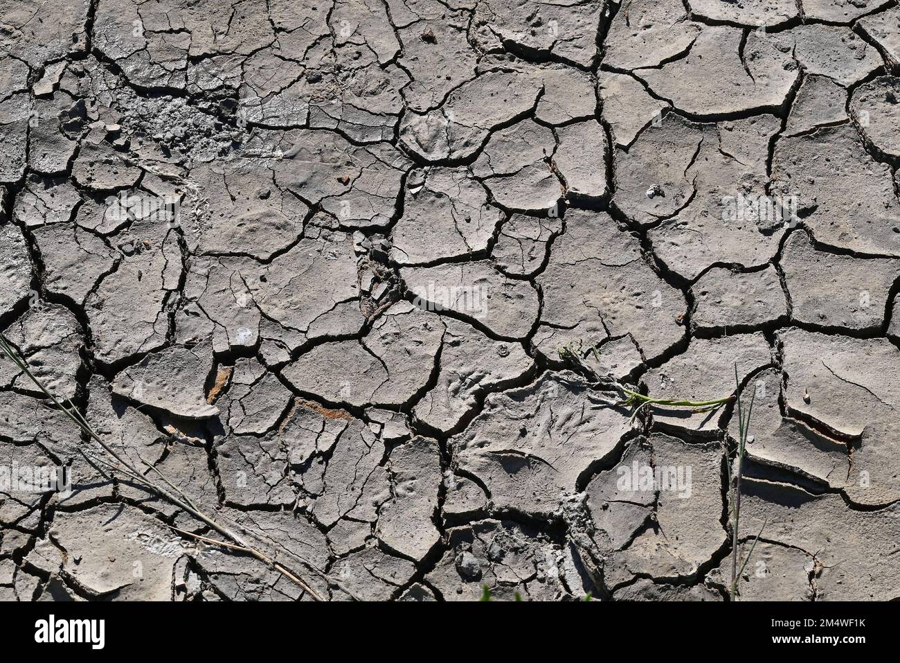 Dry and cracked land, dry due to lack of rain Stock Photo - Alamy
