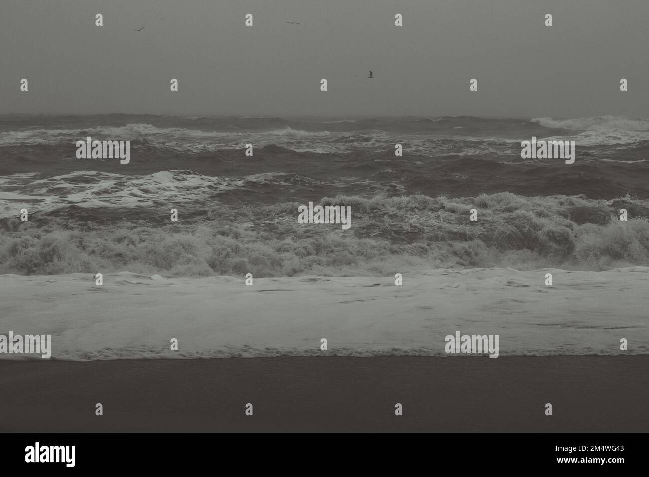 Stormy sea and dark sand monochrome landscape photo Stock Photo - Alamy