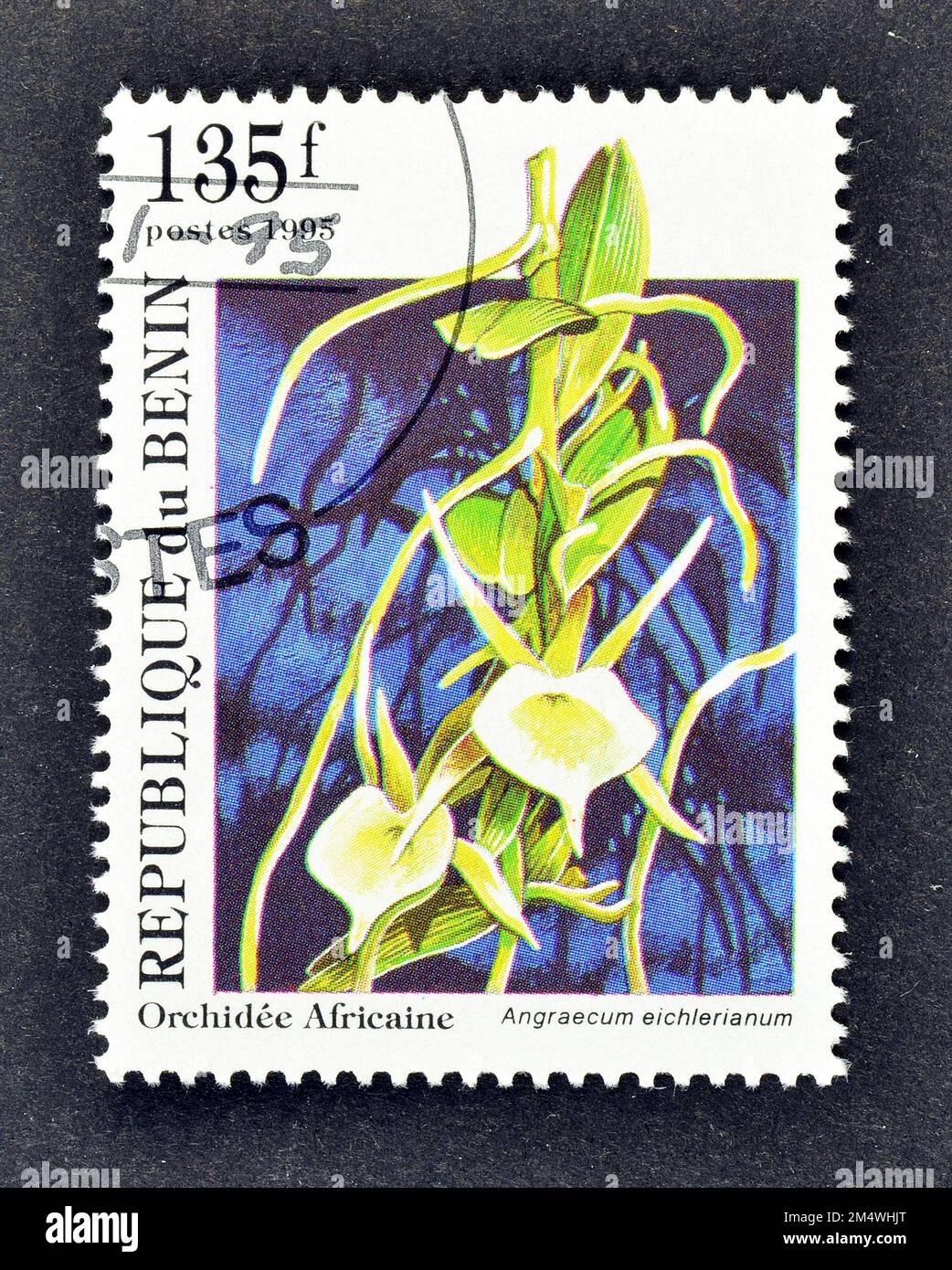Cancelled postage stamp printed by Benin, that shows Angraecum eichlerianum  orchid, circa 1995. Stock Photo