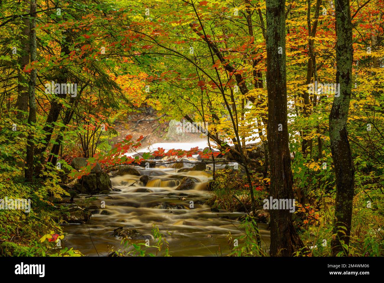 Duchesney Falls Lower Falls, Duchesney Falls Nature trails, North Bay