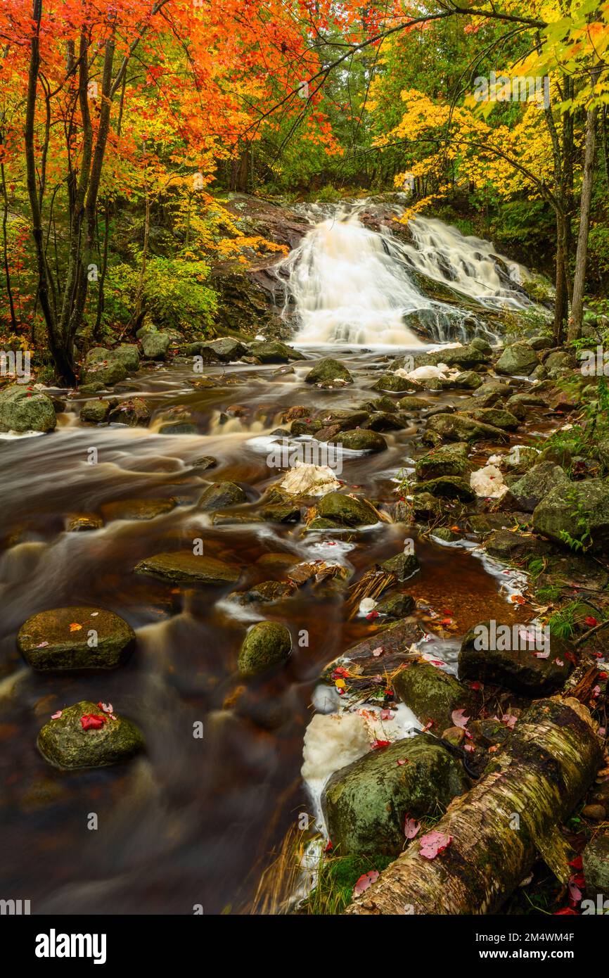 Duchesney falls nature trails hires stock photography and images Alamy