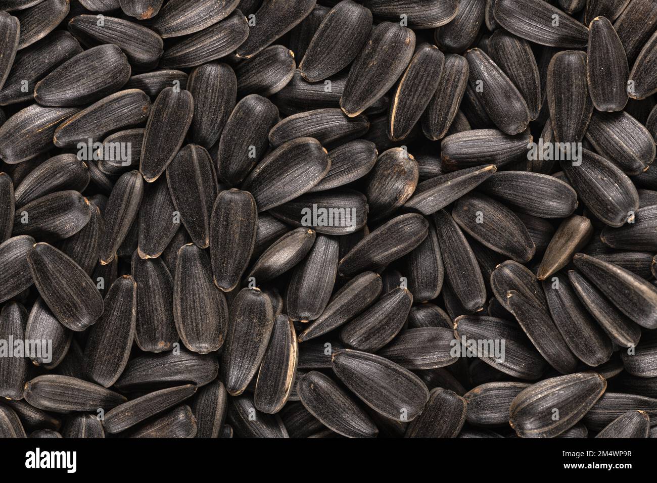 Black oil sunflower seeds hi-res stock photography and images - Alamy