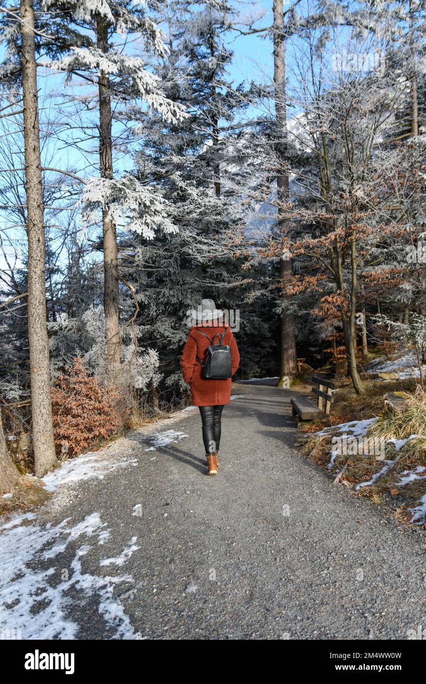 A person walking down a snow covered path in the woods Stock Photo