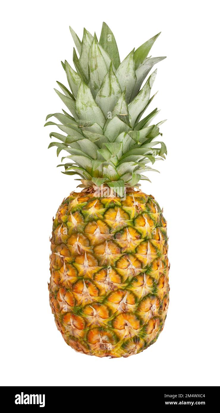 pineapple path isolated on white Stock Photo