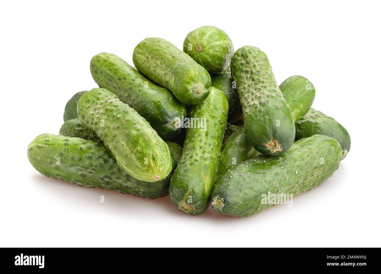pickling cucumber path isolated on white Stock Photo