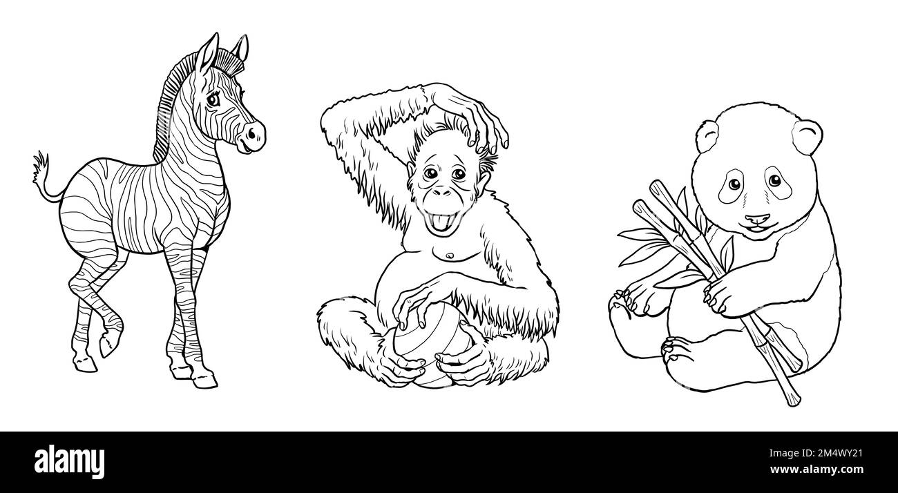 Cute zebra, orangutan and giant panda to color in. Template for a coloring book with funny animals. Coloring template for kids. Stock Photo