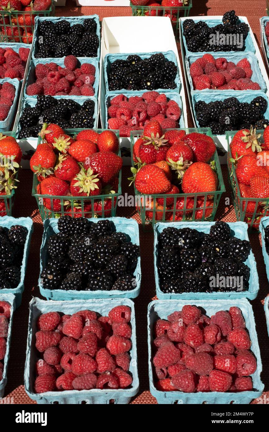 Farmers market usa strawberries hi-res stock photography and images - Alamy