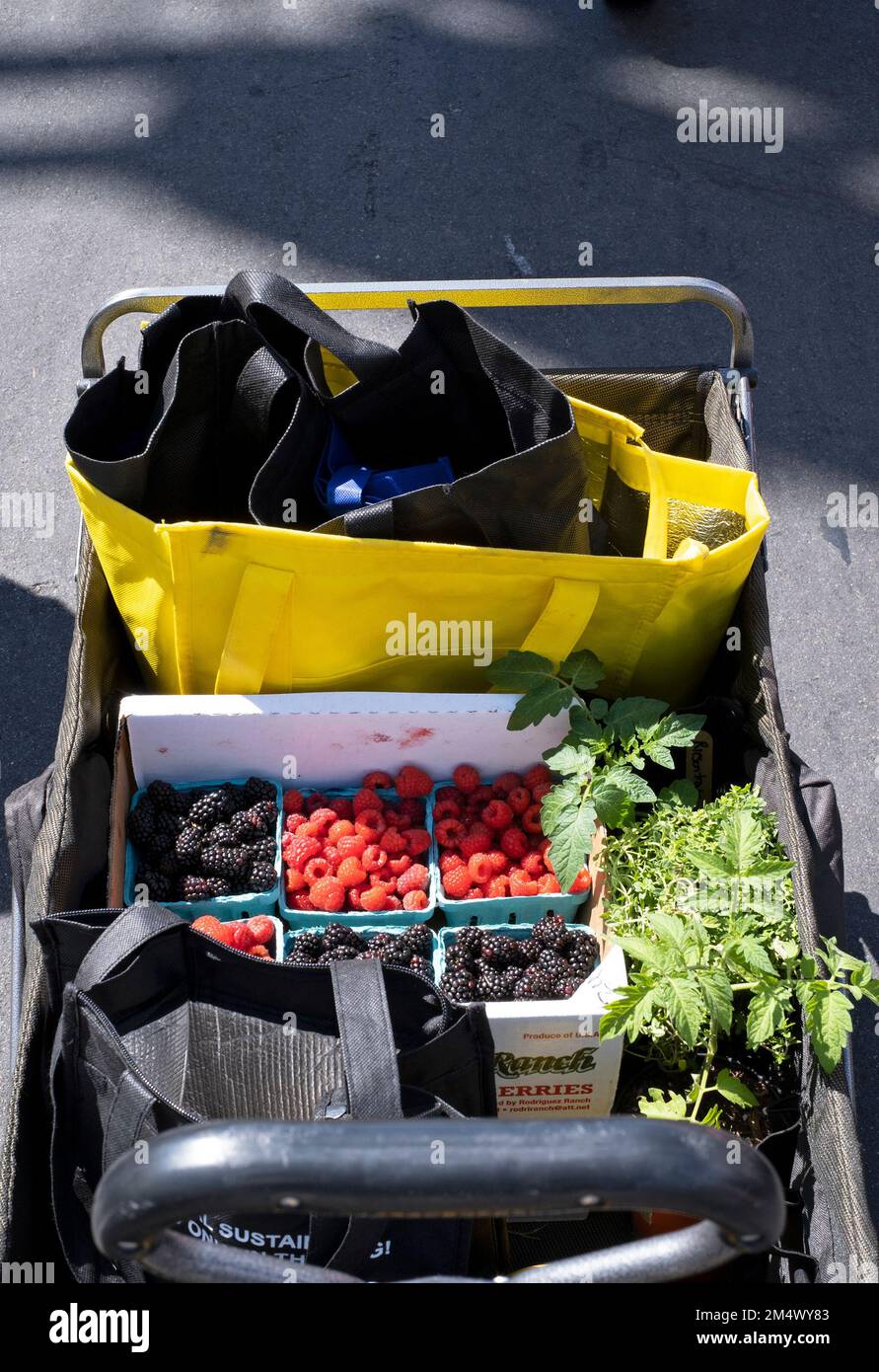 Seen at a farmer's market in Los Angeles, California, USA. Stock Photo