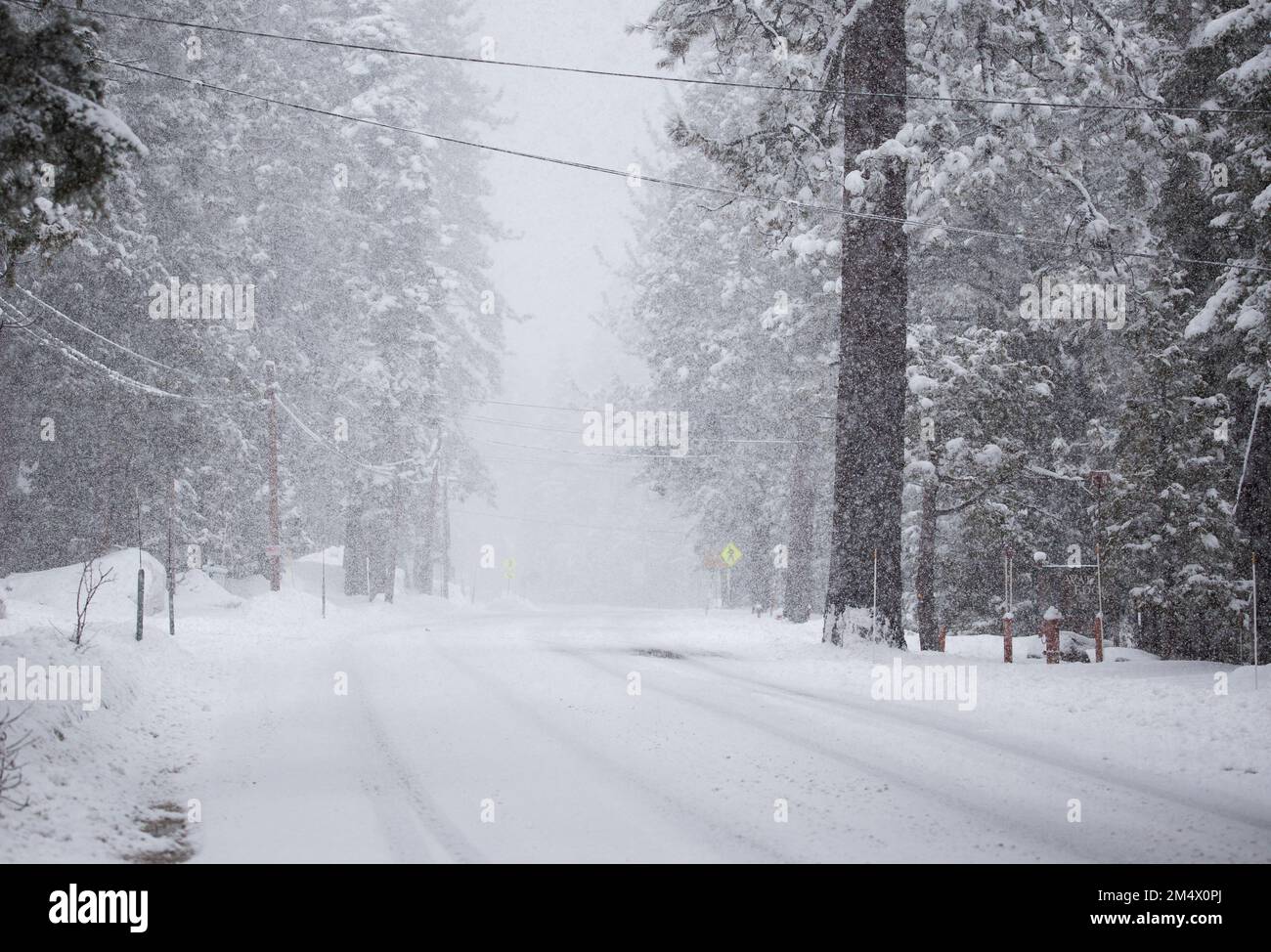 Heavy snow falls during a peaceful evening. Tahoma, California Stock