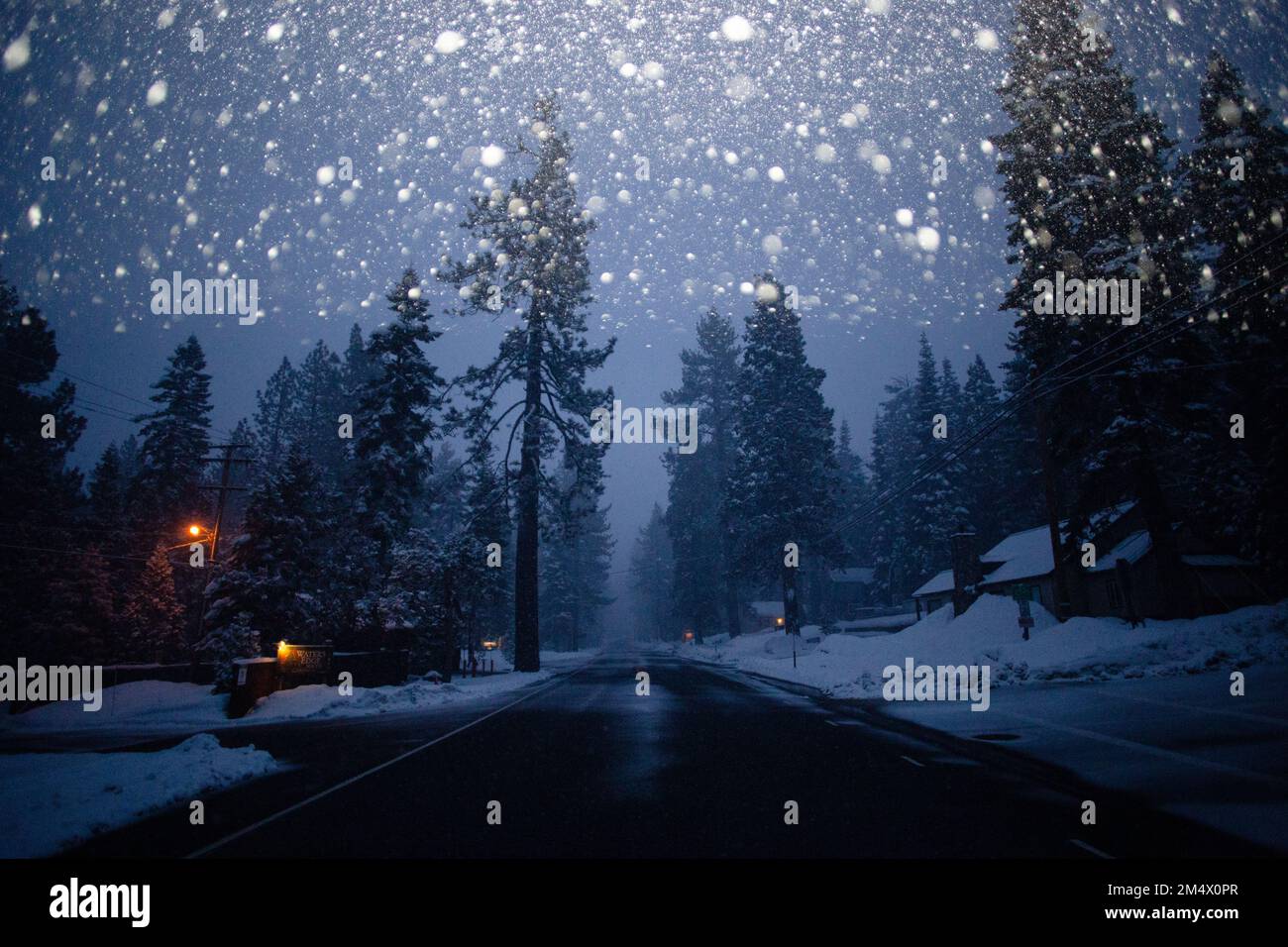 Heavy snow falls during a peaceful evening. Tahoma, California Stock