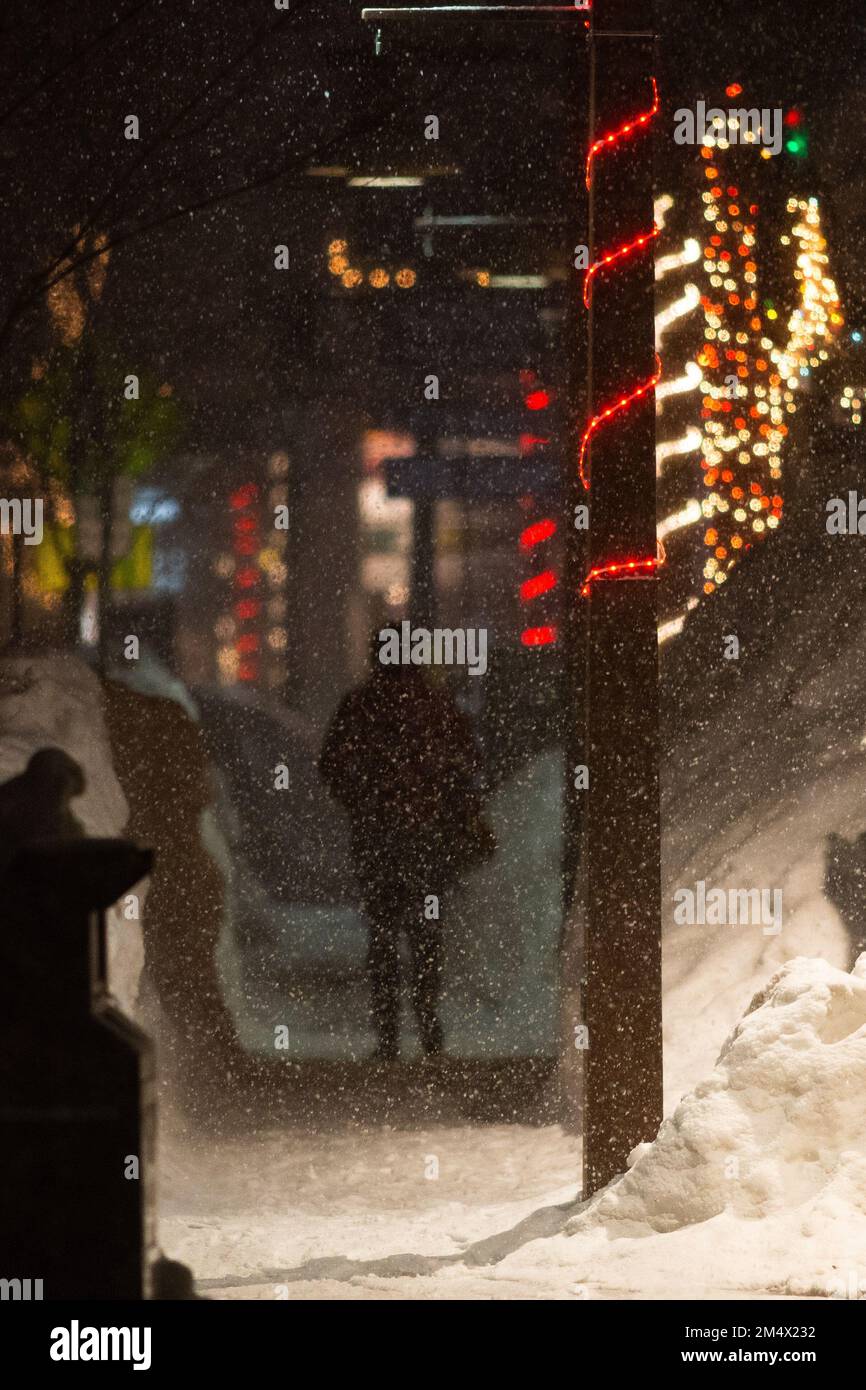 Heavy snow falls during a peaceful evening. Tahoma, California Stock