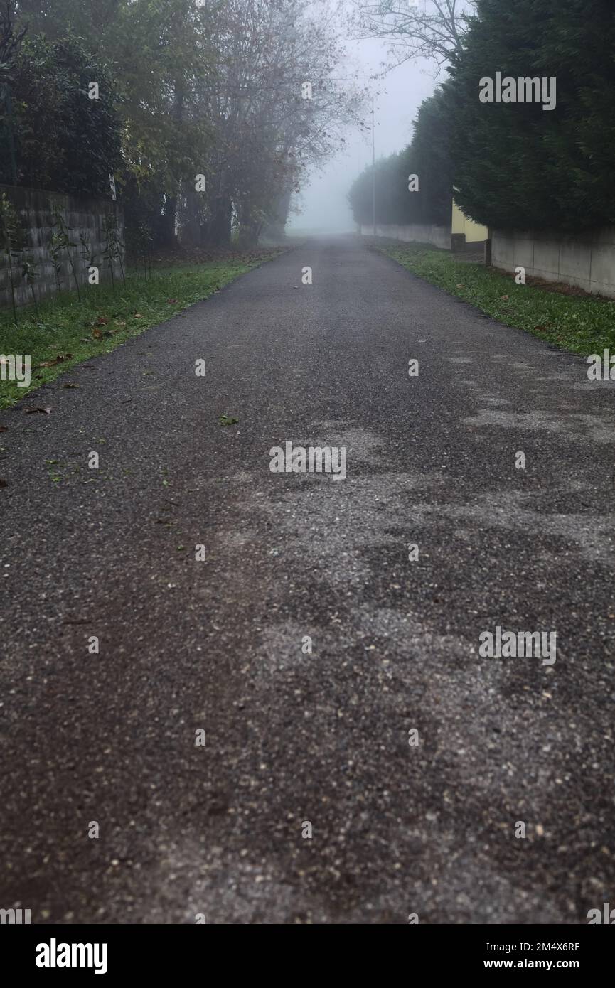 Small country road bordered by hedges on a foggy day Stock Photo - Alamy