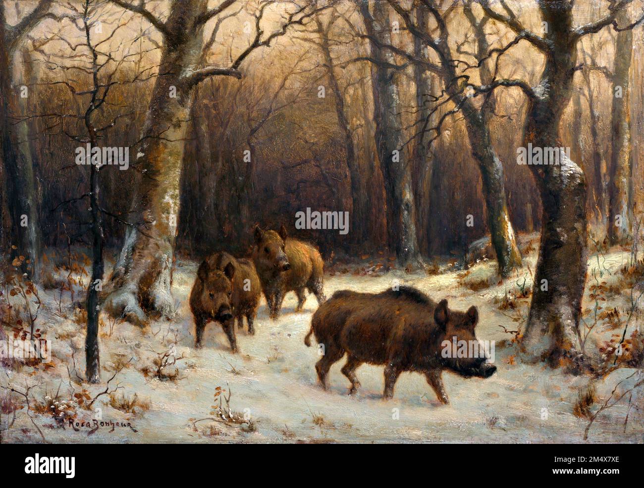 Wild Boars in the Snow by Rosa Bonheur (Marie-Rosalie Bonheur: 1822-1899), oil on panel, 1865 Stock Photo