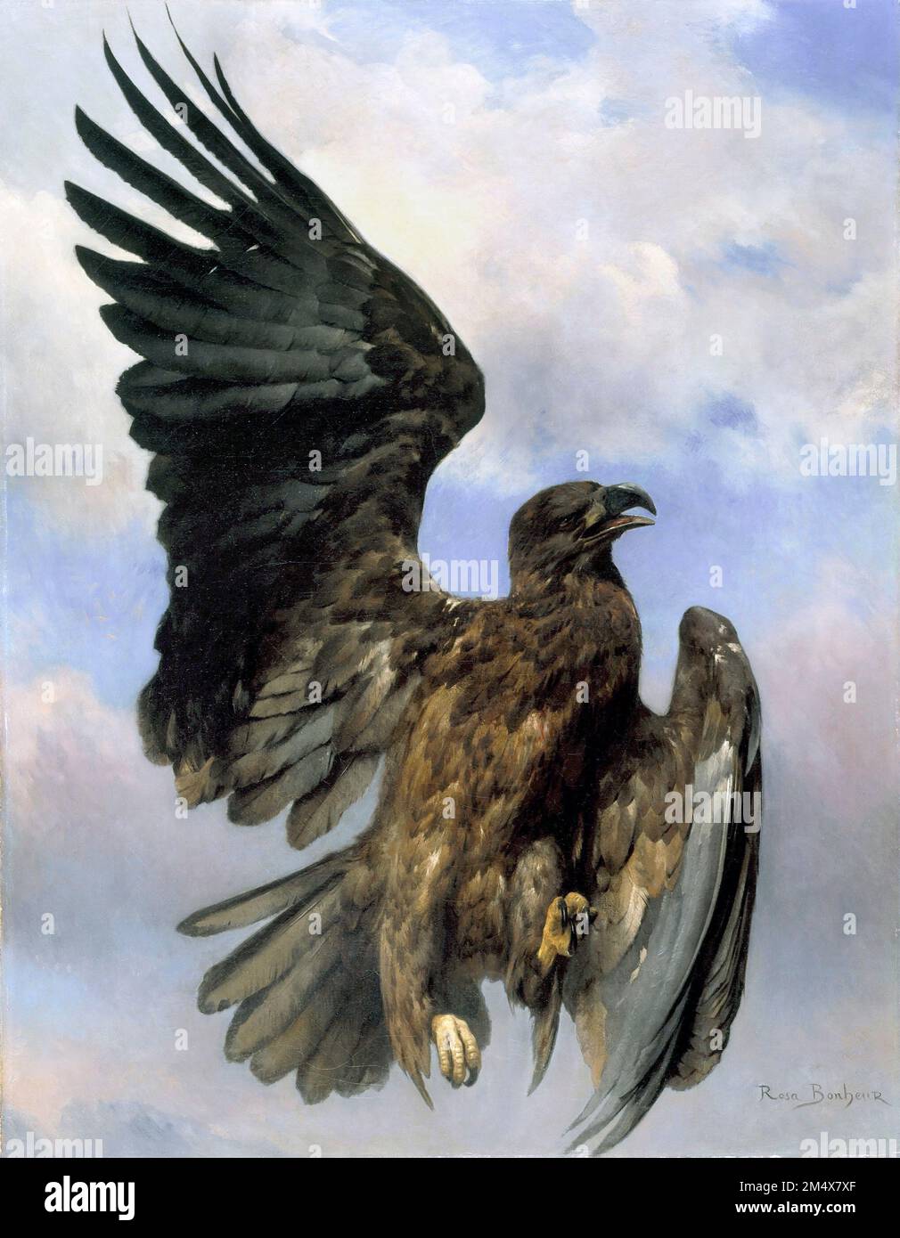 The Wounded Eagle by Rosa Bonheur (Marie-Rosalie Bonheur: 1822-1899), oil on canvas, c. 1870 Stock Photo