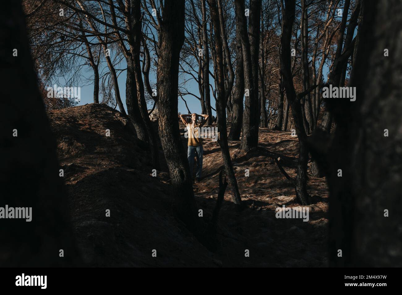 Woman standing amidst burnt trees in forest Stock Photo