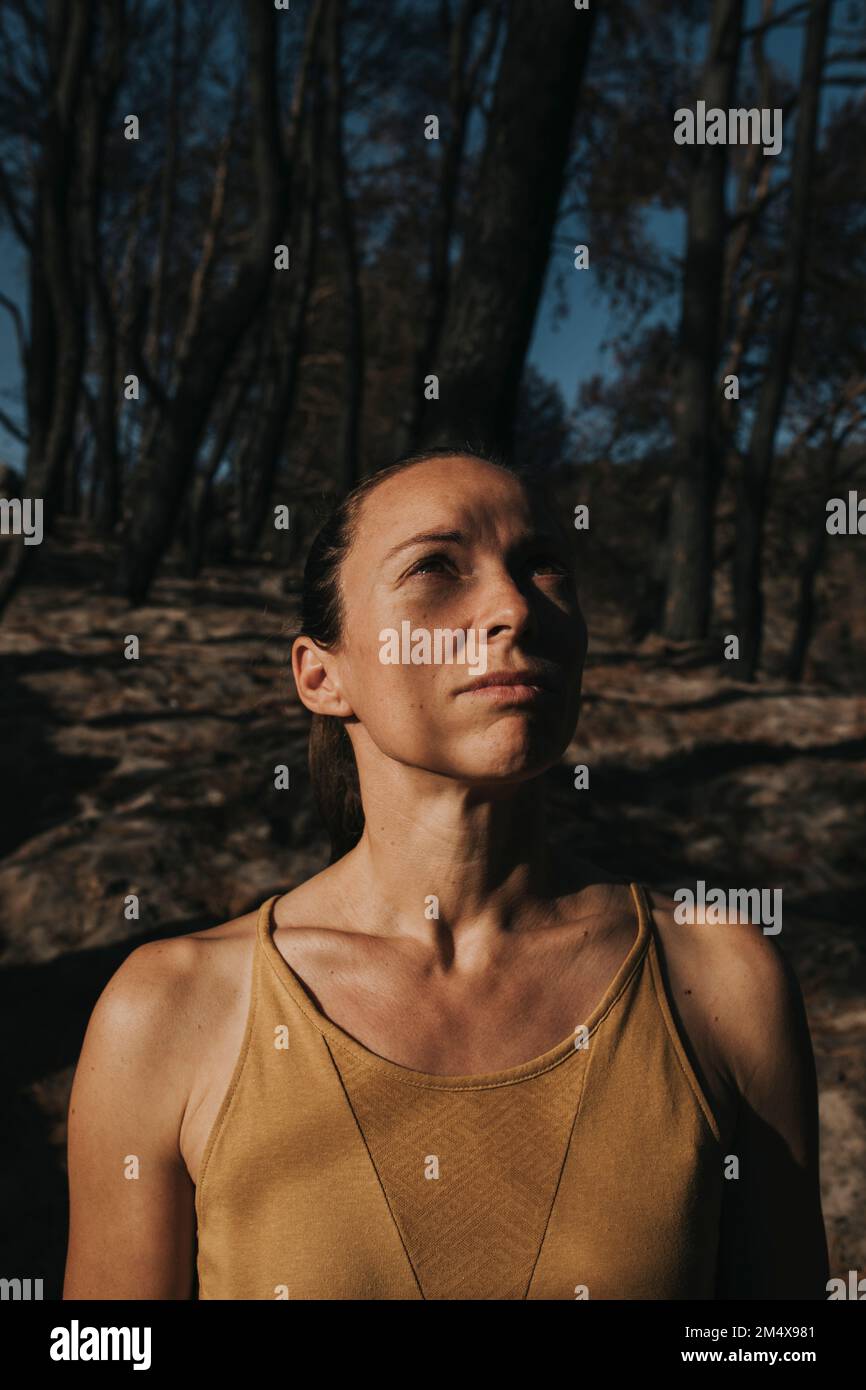 Thoughtful woman standing in burnt forest Stock Photo