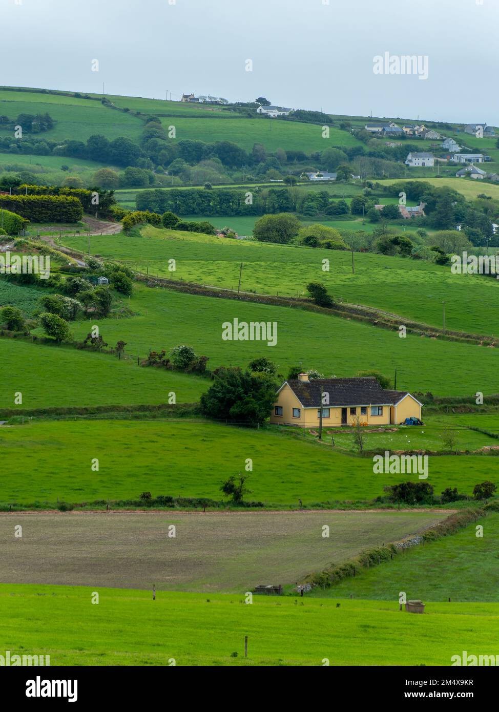 Picturesque countryside. Green farm fields, landscape. Beautiful Irish nature. Stock Photo