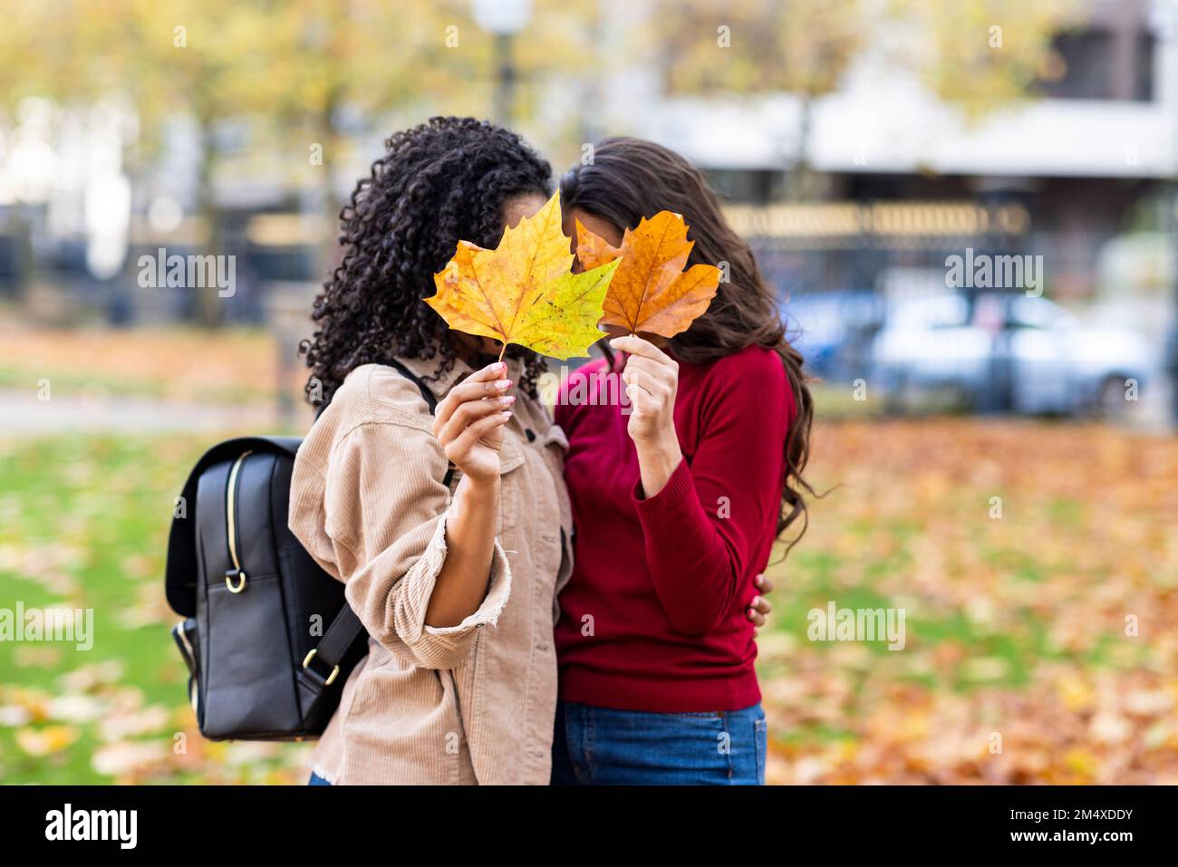 Women hiding faces behind autumn leaves at park Stock Photo