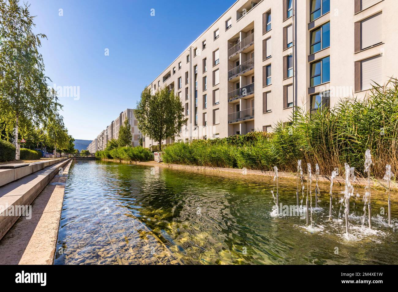 Germany, BadenWurttemberg, Heidelberg, Pond stretching in front of
