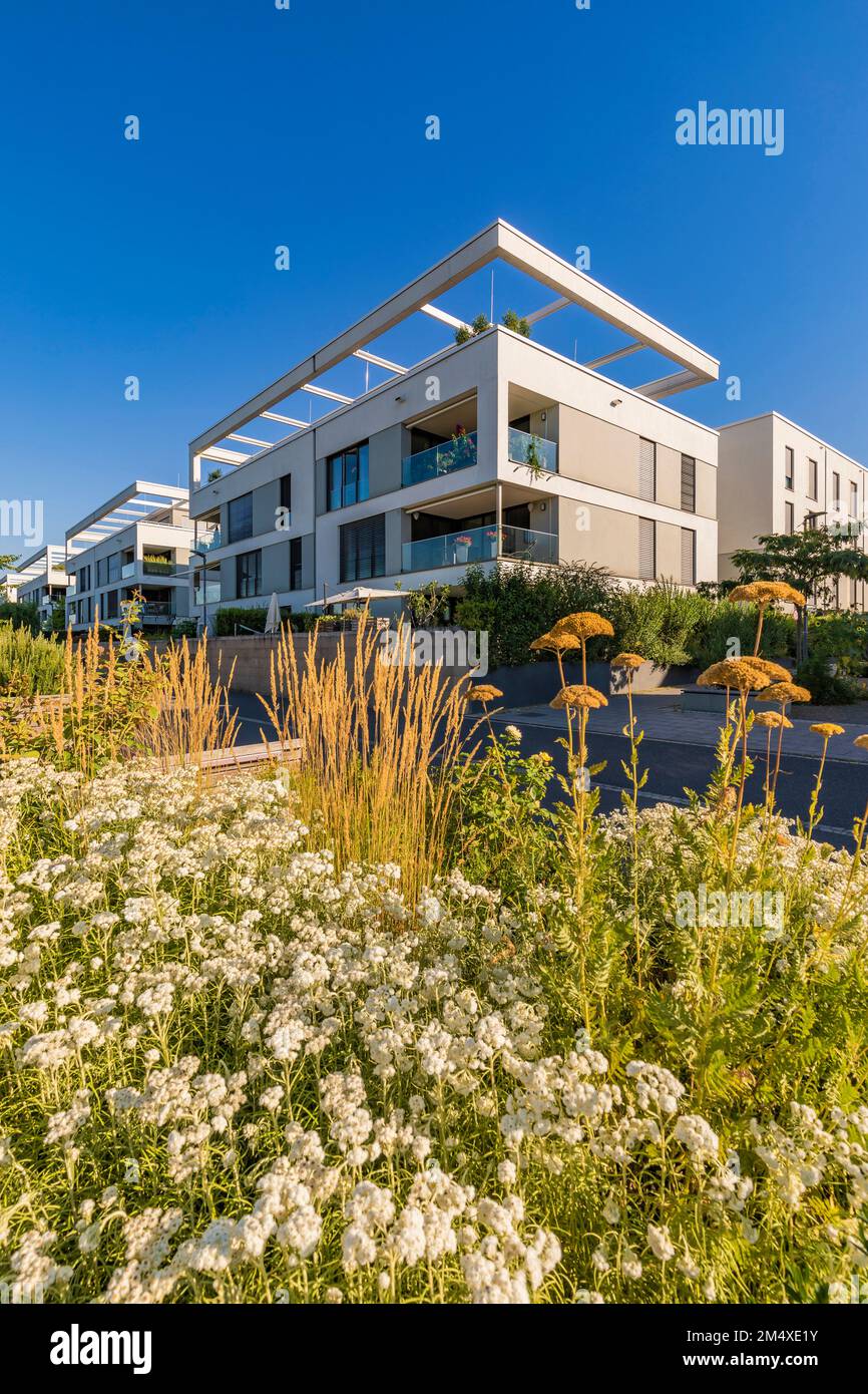 Germany, Baden-Wurttemberg, Heidelberg, Modern suburban houses in Bahnstadt district Stock Photo