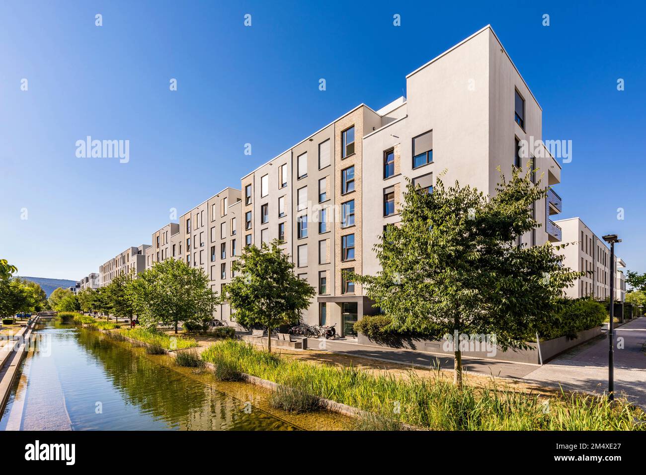 Germany, BadenWurttemberg, Heidelberg, Pond stretching in front of