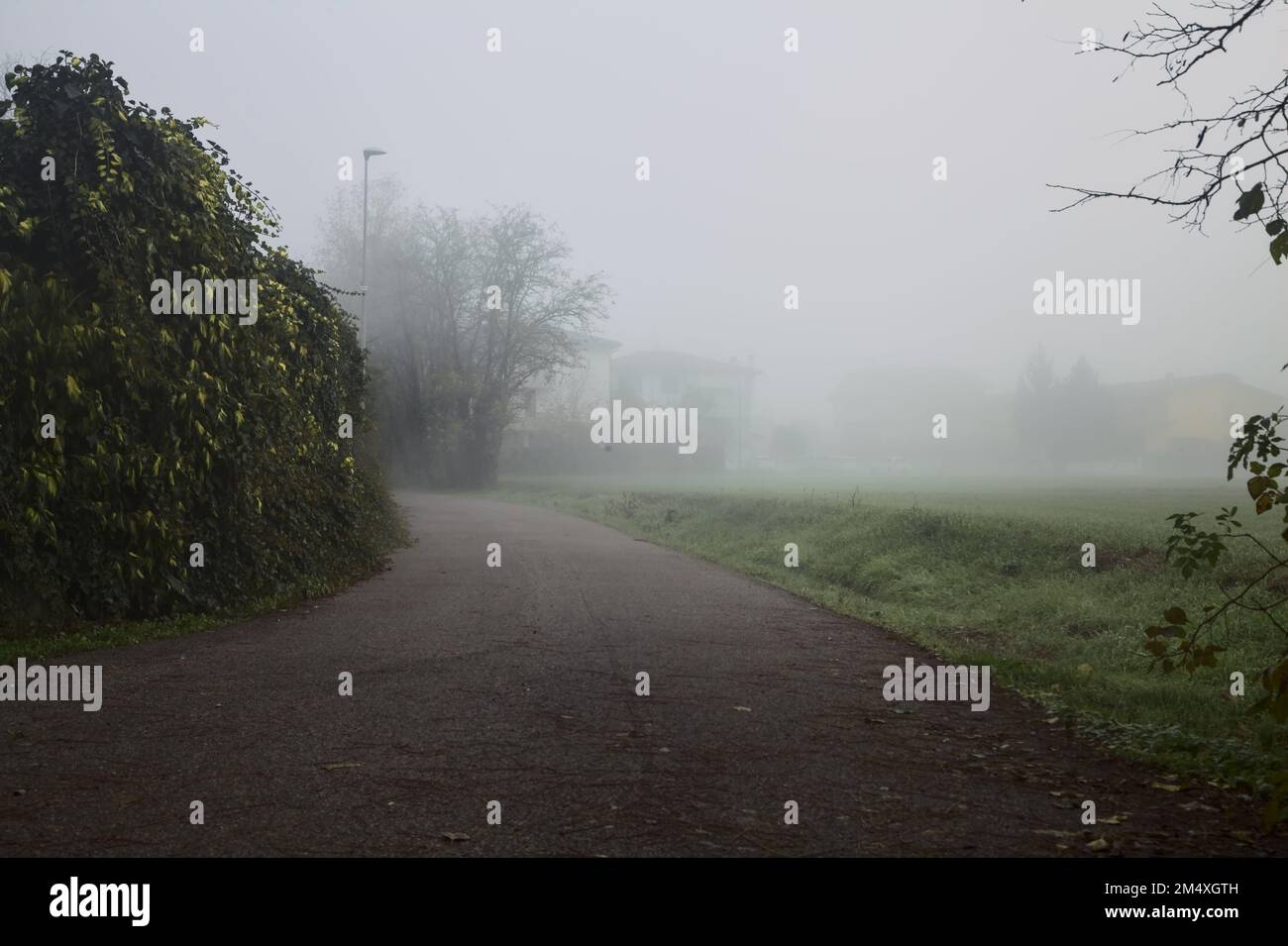 Country road next to a block of houses in a village on a foggy day ...